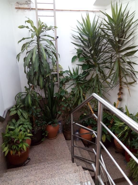 Residencial Moeda Hotel Coimbra Eksteriør billede